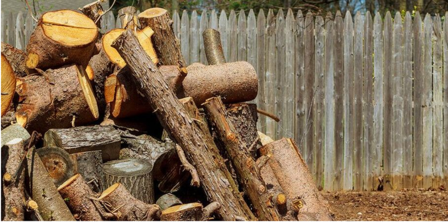 Pile of wood following the felling of a tree in Beloeil.