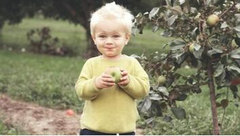 Un niño prueba una manzana recién cogida de un manzano en la propiedad de sus padres en Beloeil.